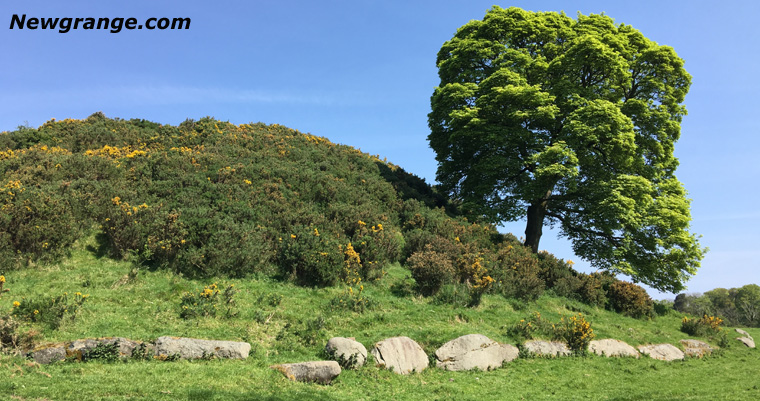 Dowth Megalithic mound in the Boyne Valley, Ireland