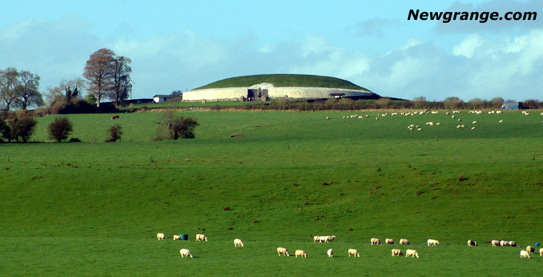 Sheep at Newgrange Megalithic Passage Tomb