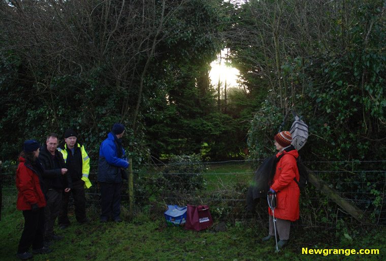 A splash of Winter Solstice sun makes its way through the gap in the trees towards the Dowth chamber.