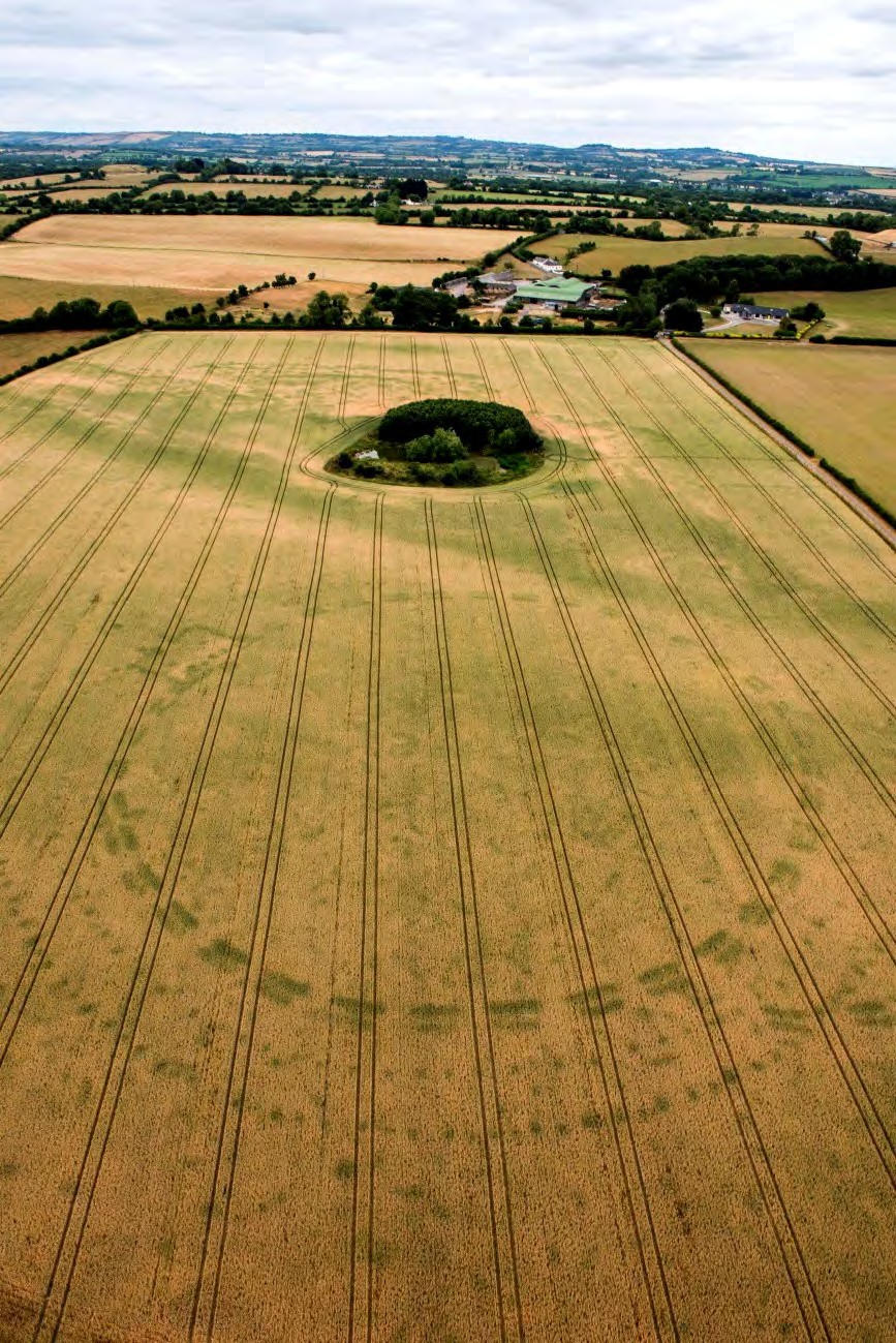 Aerial view looking north across the Geometric Henge in a wheat field, with Newgrange Farm and its green-roofed sheds beyond.
