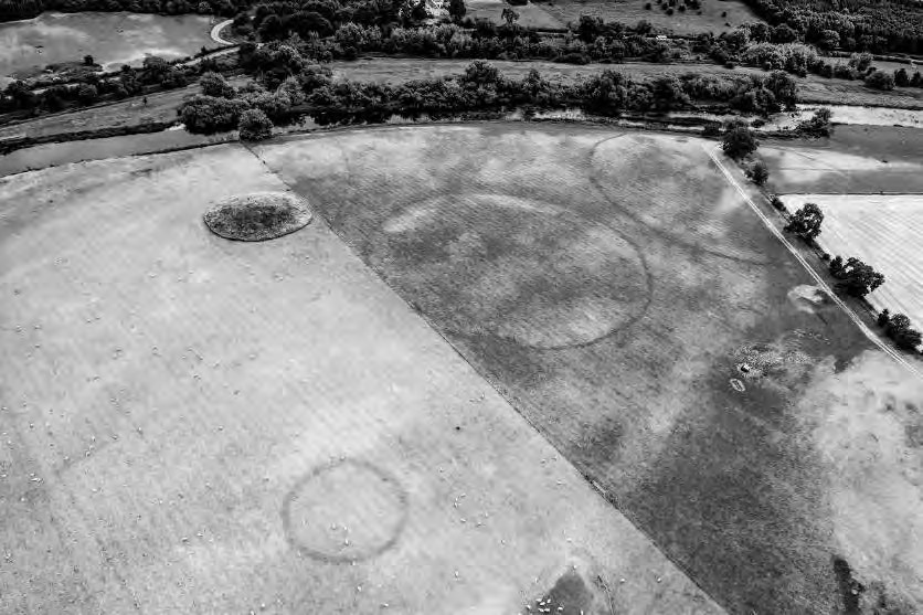 High-contrast aerial photograph of Site B, a round mound in pasture, with dark circular ditches of henges beside it and the River Boyne beyond.