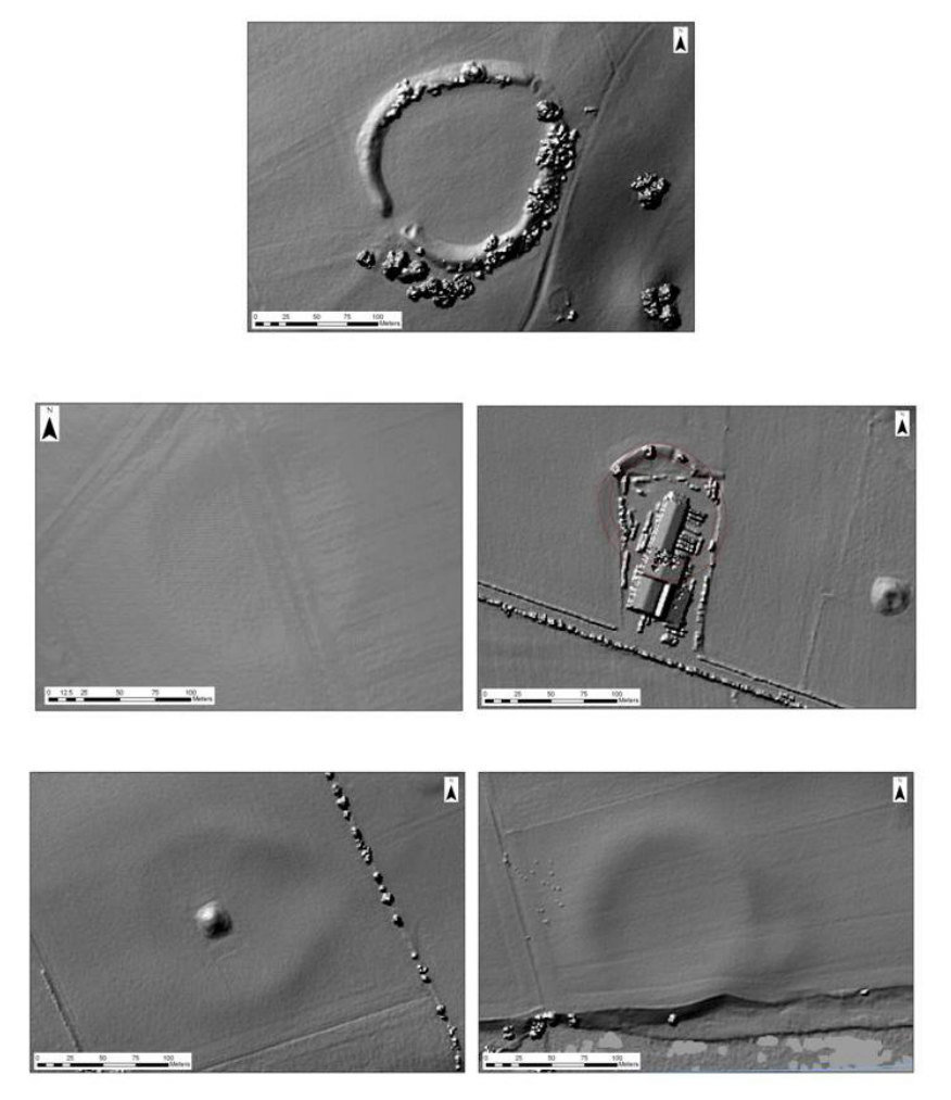 Five LiDAR views of low circular enclosures at Dowth, Caulstown, Monknewtown, Site A and Site P.