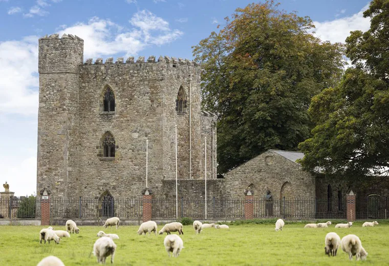 Dowth Castle