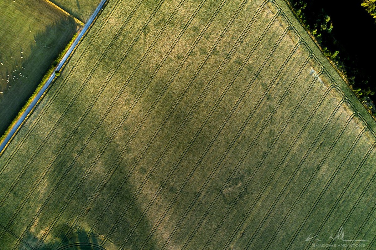Drone view of a large circular cropmark in a wheat field, with concentric rings and a rectangular feature on one side.