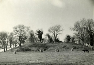 Newgrange before excavation