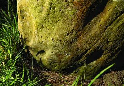 Picking close to the base on Great Circle stone GC17 at Newgrange, in grass at an angle that would have been hard to carve after the stone was erected.