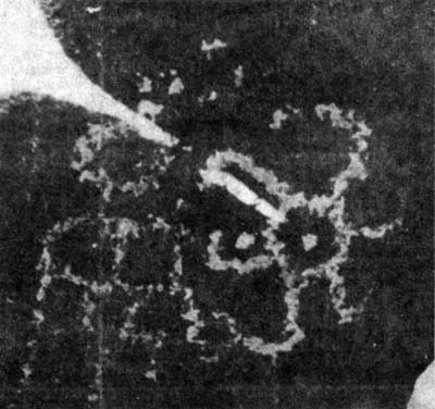 Petroglyph 'calendar' at Hohokam Indian site
