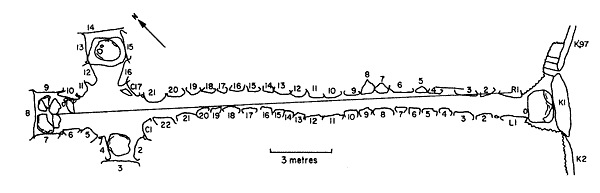 Plan of Newgrange tomb, displaying the passage, main chamber and its three alcoves